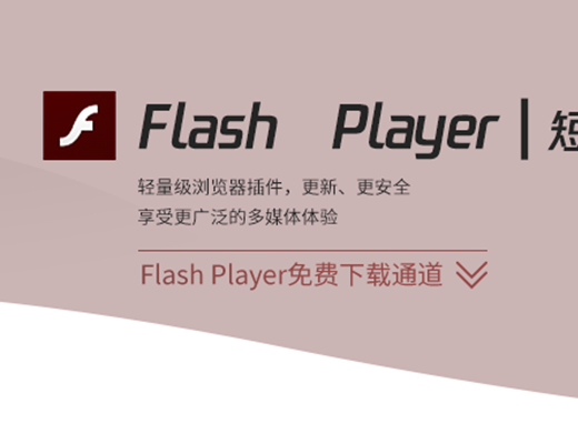 flash player电脑版